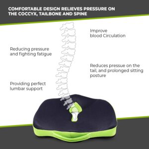 Cushions for Coccyx Pain