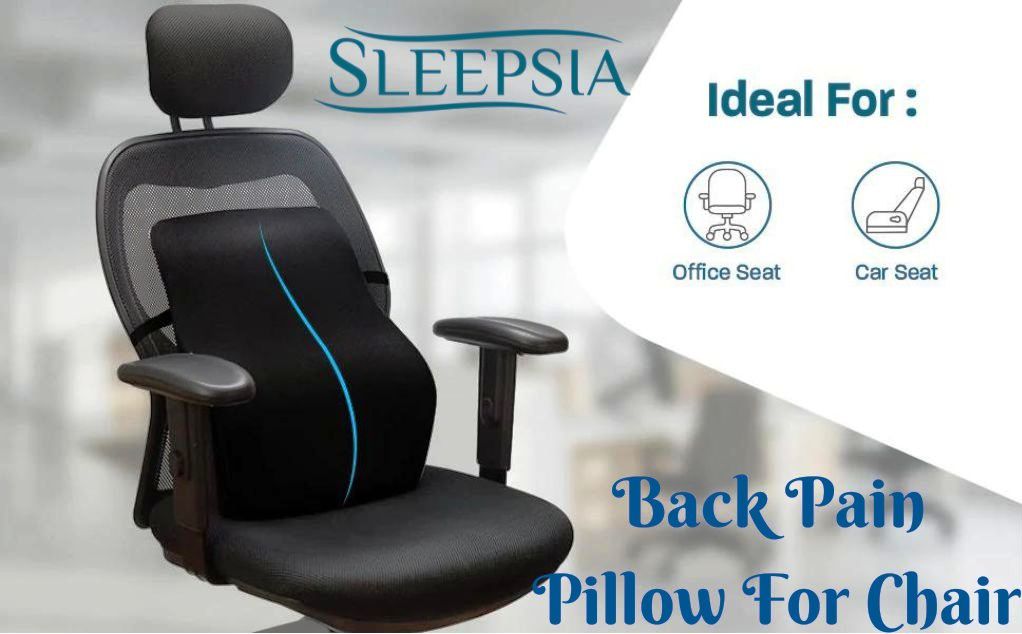 Back Pain Pillow For Chair