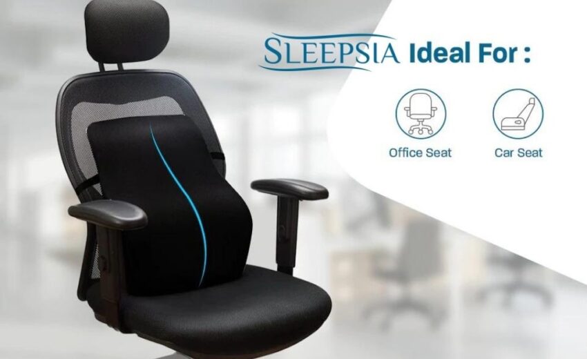 Chair Pillow For Back Pain