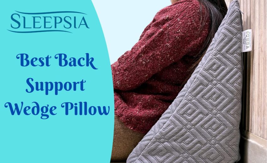 Best Back Support Wedge Pillow